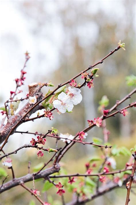 seo232|Pin on Infinite Beauty all around .